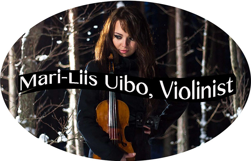 violin